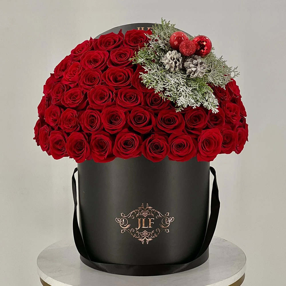 Holly Jolly Christmas