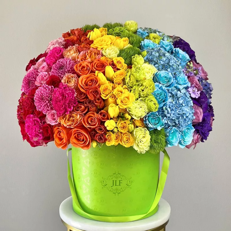Jadore Rainbowland in JLF Monogram Box