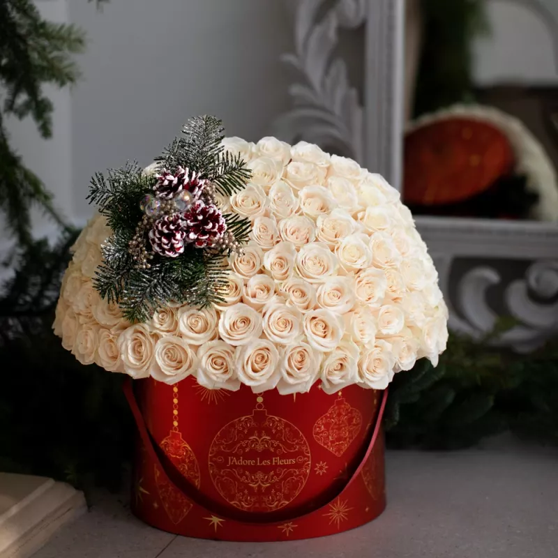 Jadore Holiday Champagne