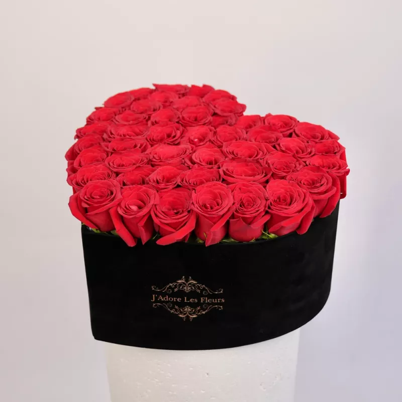 Jadore A Heart of Romance