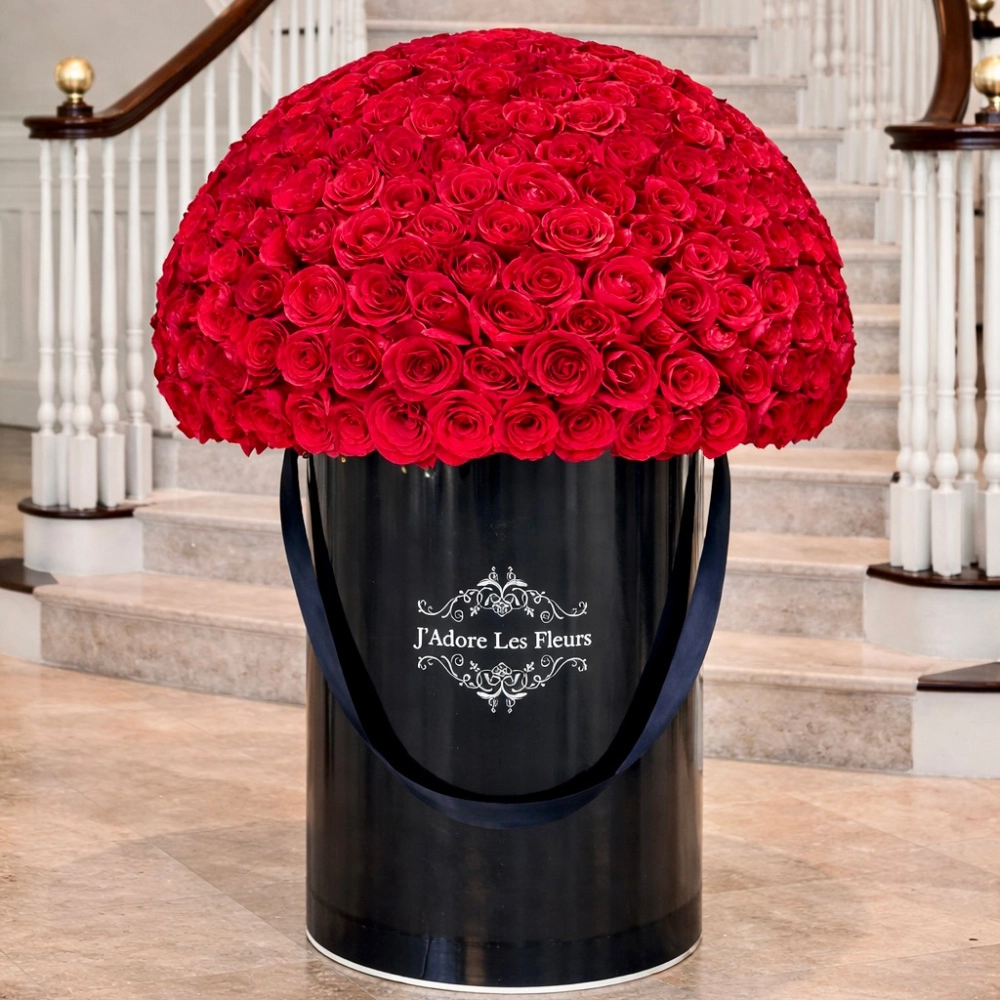 Signature 200 Red Jumbo Box