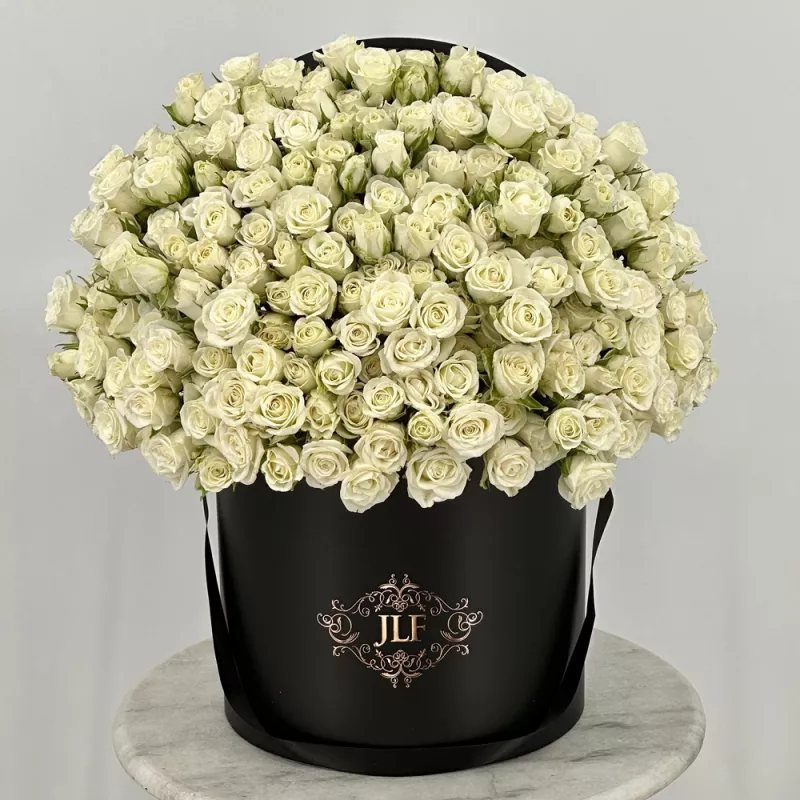 Jadore White Baby Rosé Box