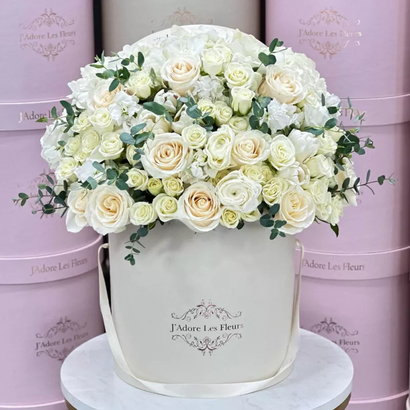 Jadore Hello Beautiful