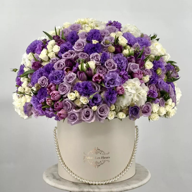 Jadore Violet-Full