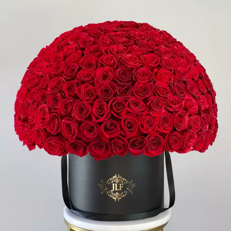 Jadore JLF Signature 150 Red Rose Box