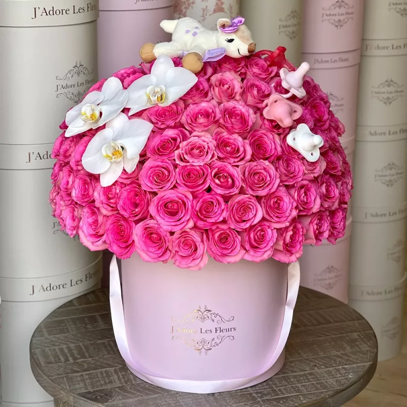 Jadore Welcome Baby Girl