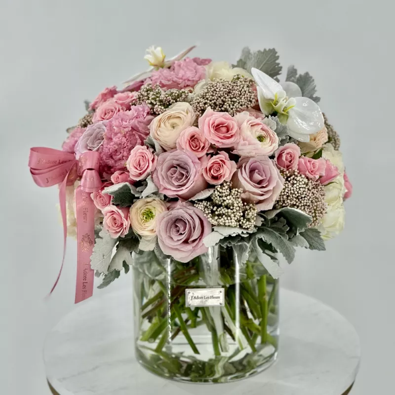 Jadore Living a Dream