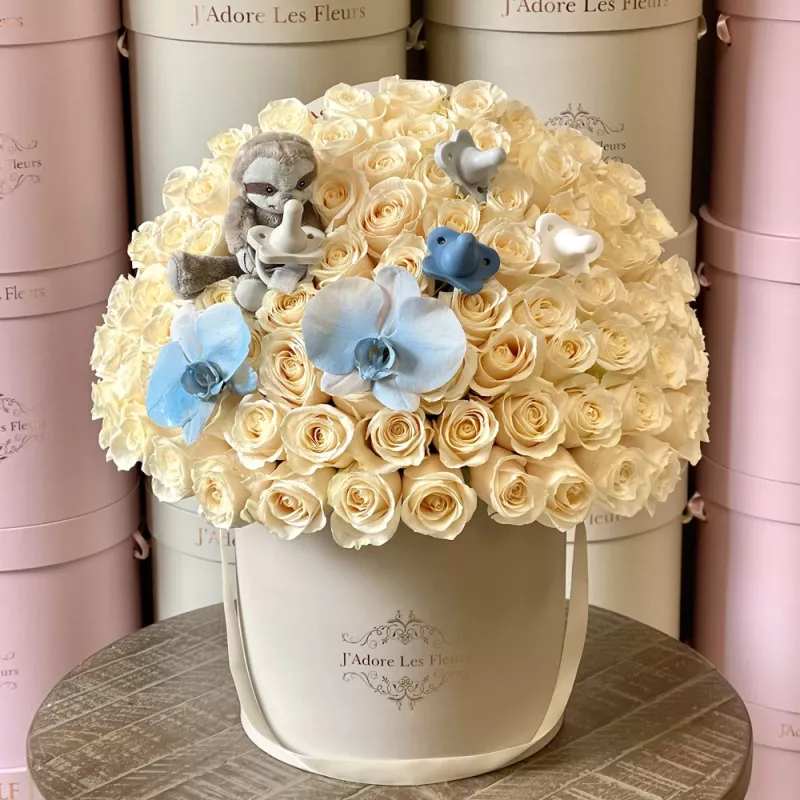 Jadore Welcome Baby Boy