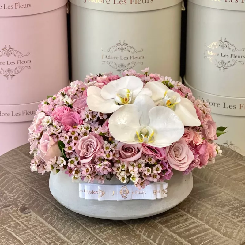 Jadore Pastels in Prague