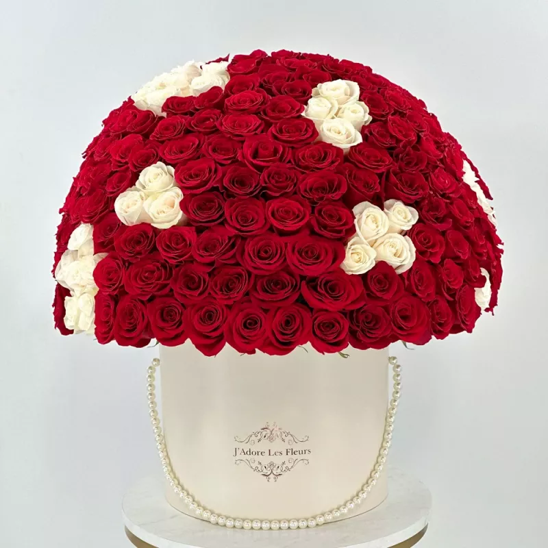 Jadore Red and White 150 Roses
