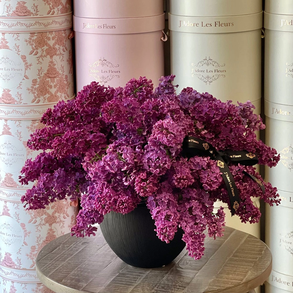 Lilac Heaven