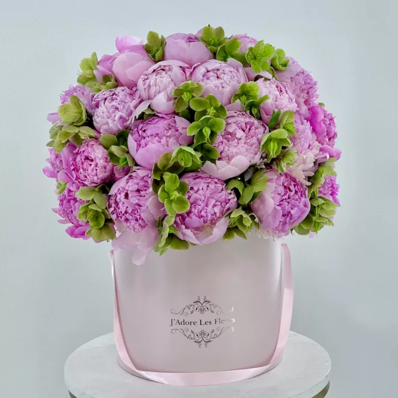 Jadore Pearlecsent Peony