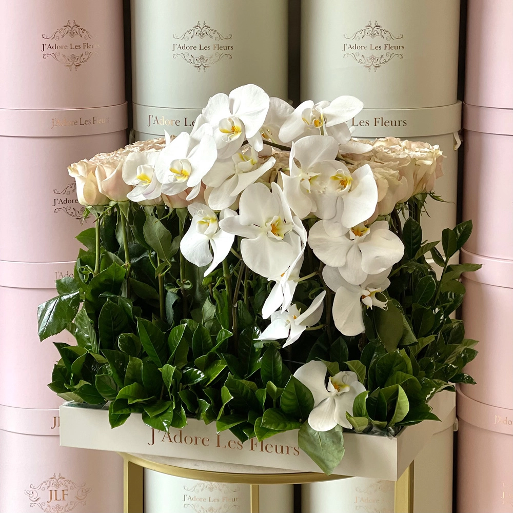Standing Roses and Orchids in Medium JLF Tray