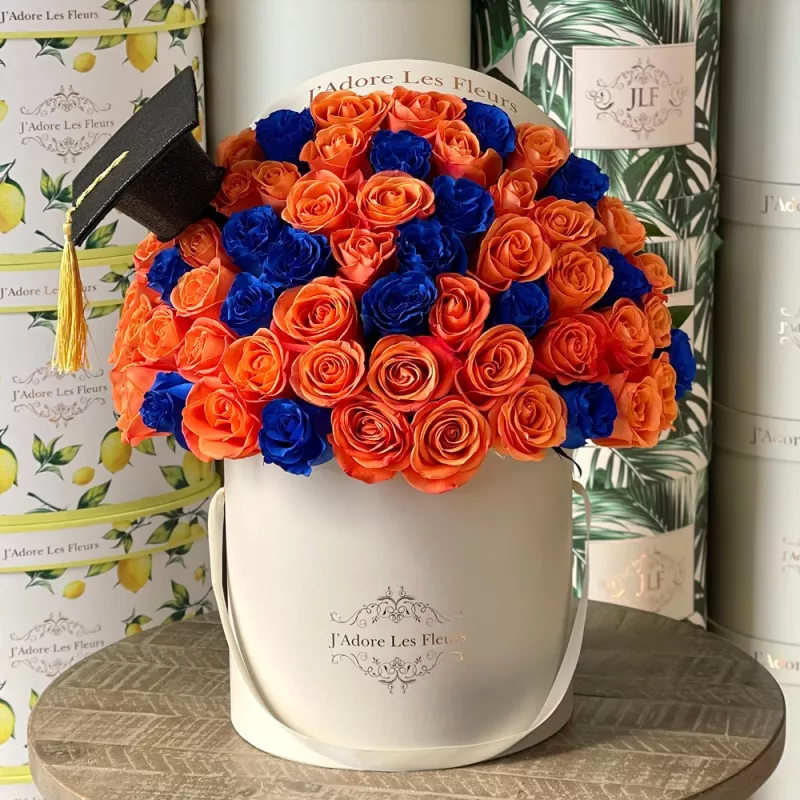 Jadore Orange & Blue Grad