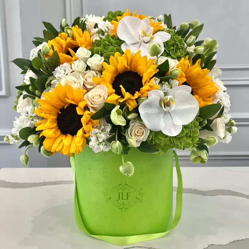 Jadore Brightest Sun