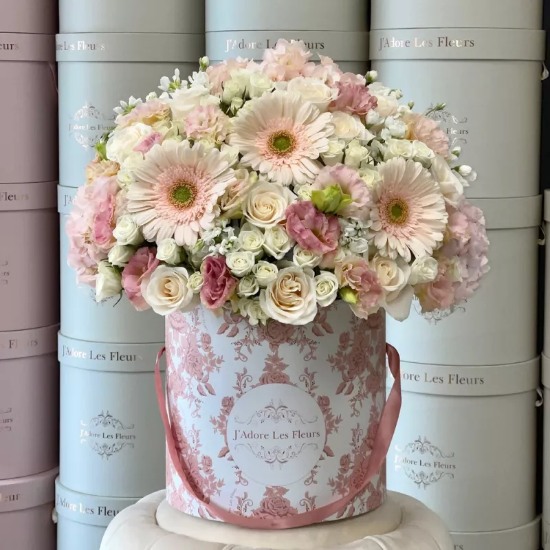 Jadore Pastel Summer