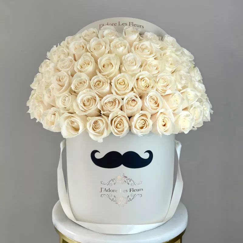 Jadore Mr. Roses