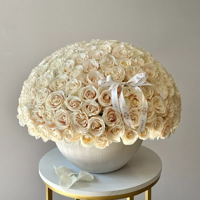 Jadore Grand White 150 Roses in Large Coconut Vase