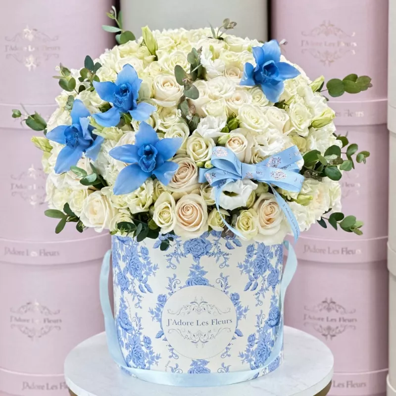 Jadore Baby Boy Blue