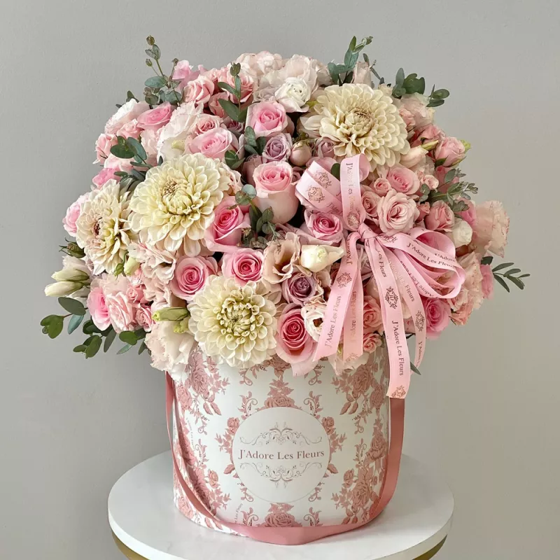 Jadore Baby Girl Blush