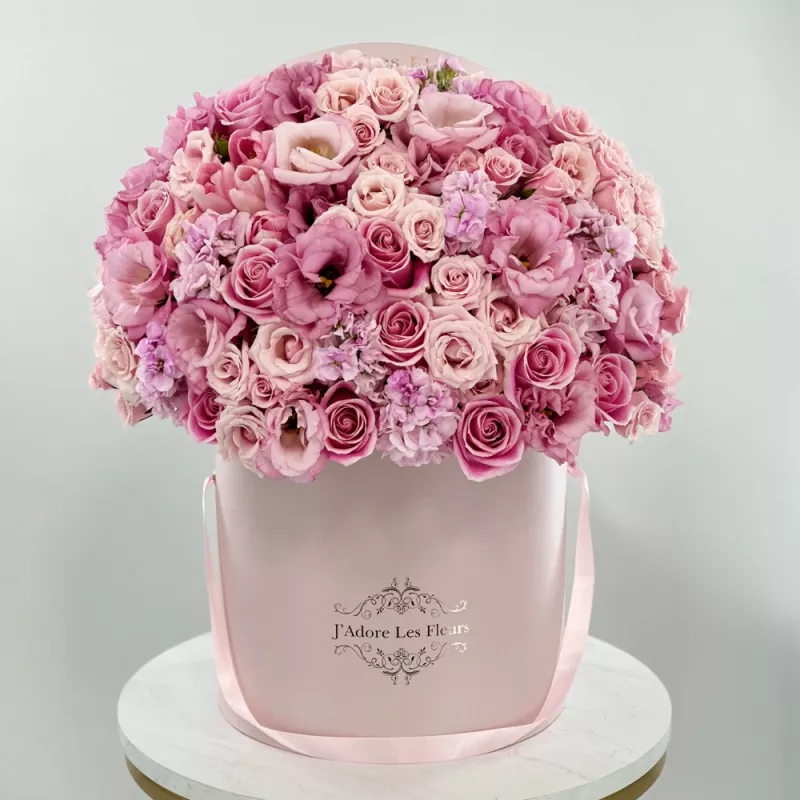 Jadore Pink in Bloom