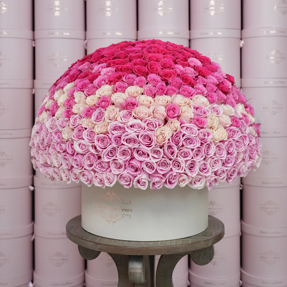 300 Ombre Roses in Grandiose Box