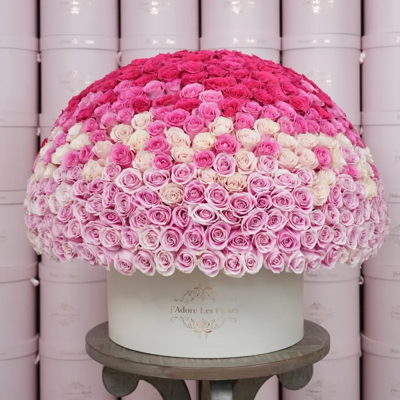 Jadore 300 Ombre Roses in Grandiose Box