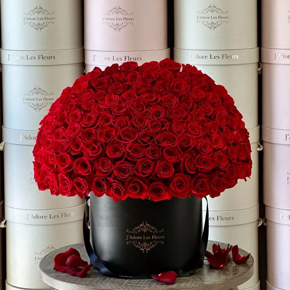 JLF 100 Red Rose Box