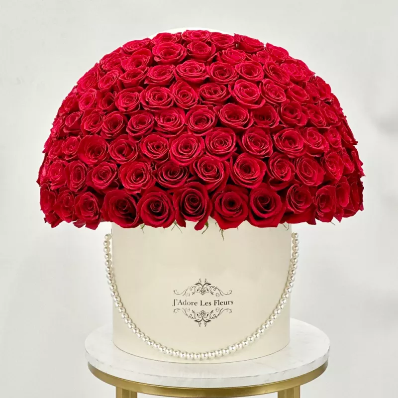 Jadore JLF 100 Red Rose Box
