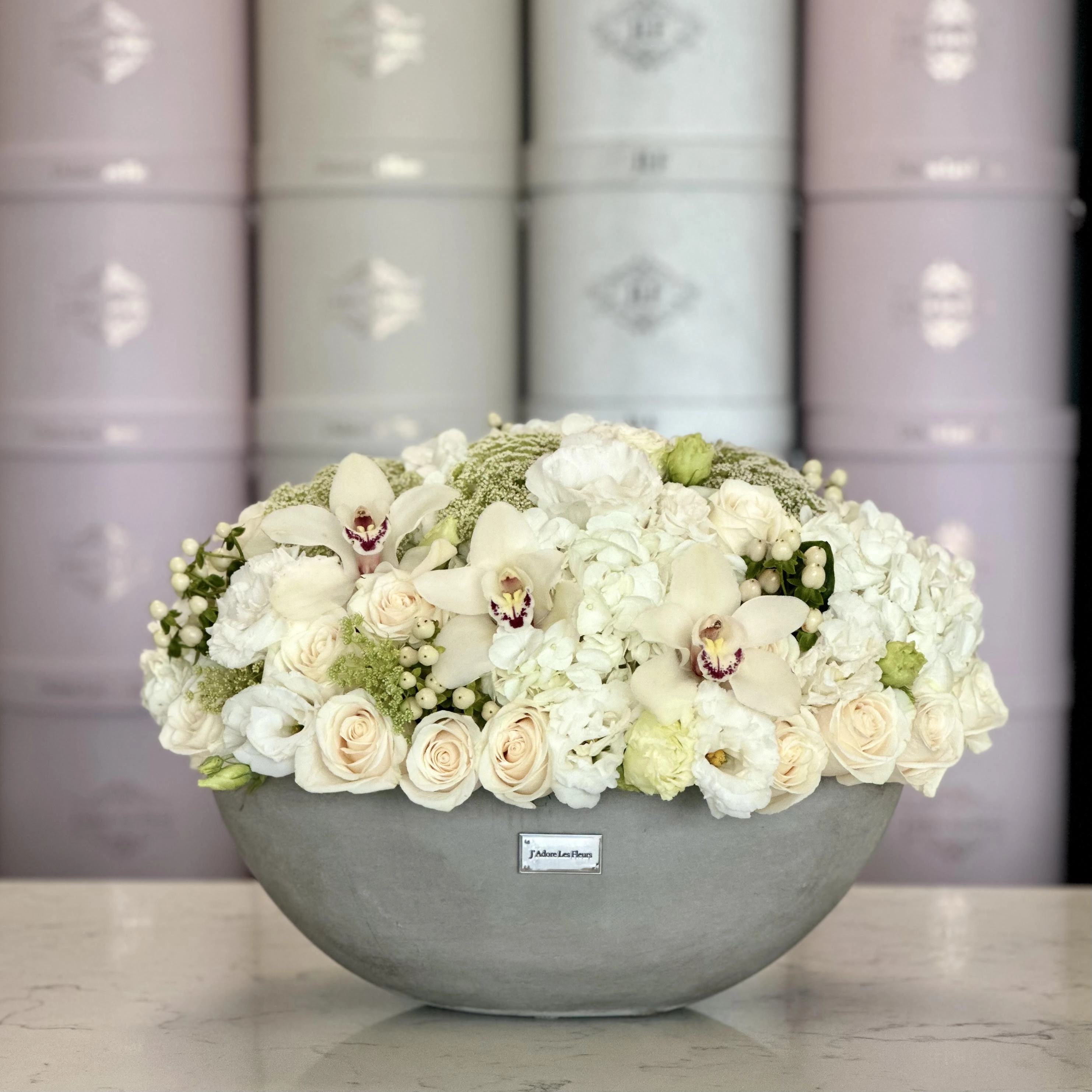 Serene Neutrals