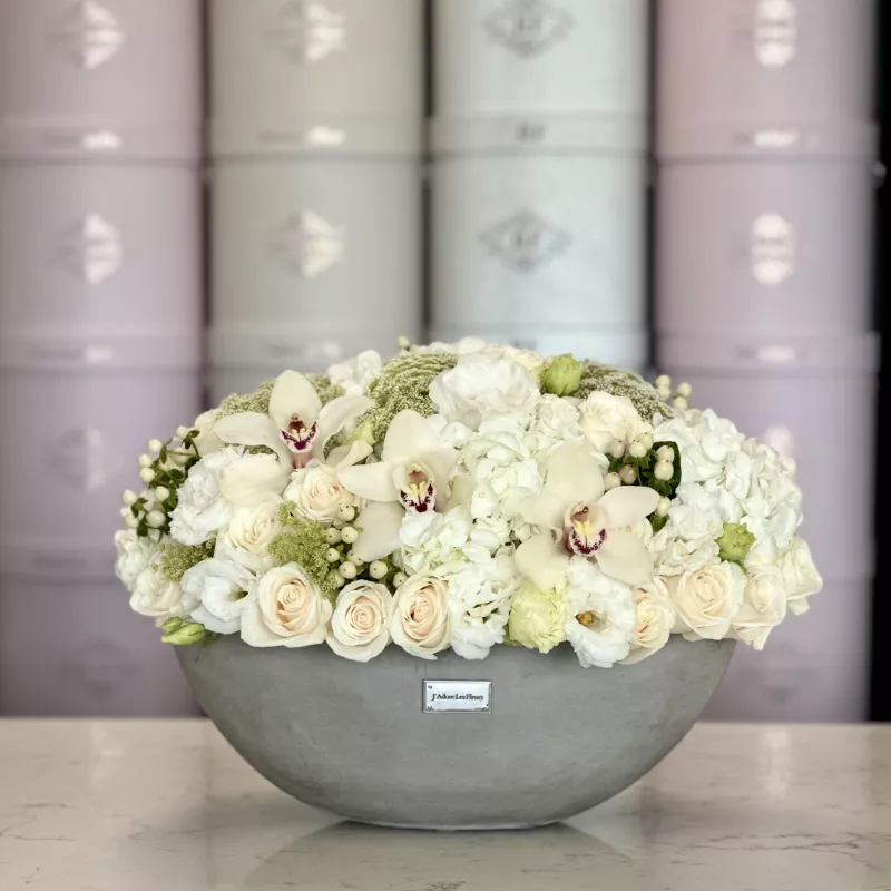 Jadore Serene Neutrals