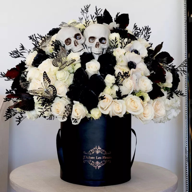 Jadore Whimsical White & Noir