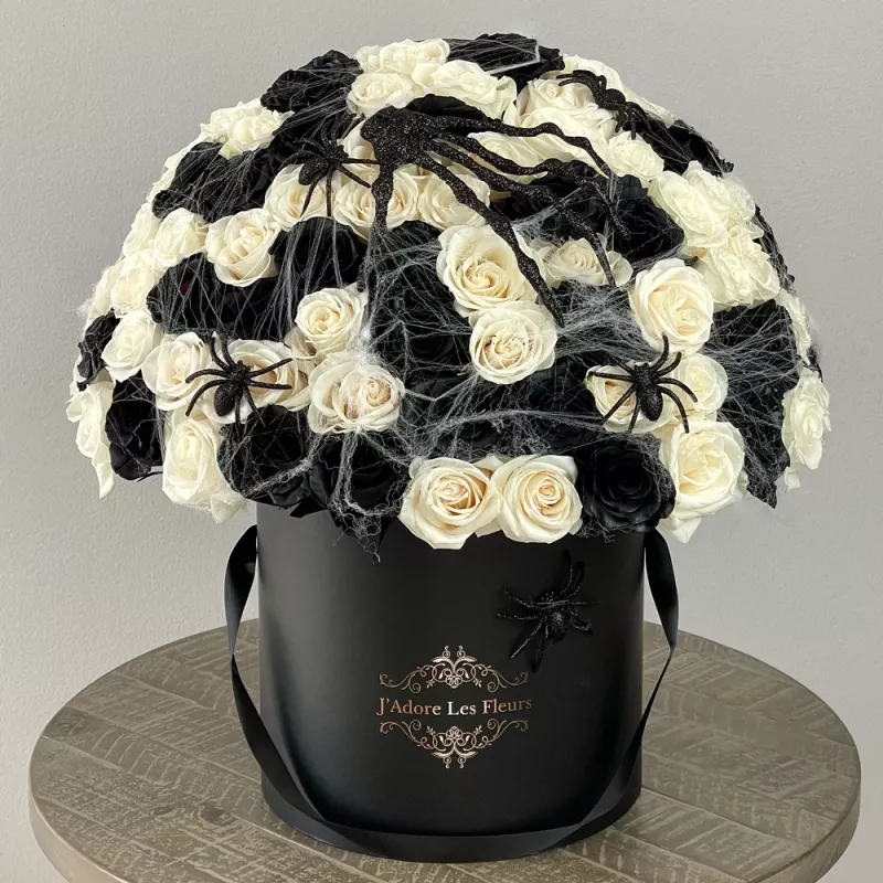 Jadore Shadowy Web of Enchantment Halloween