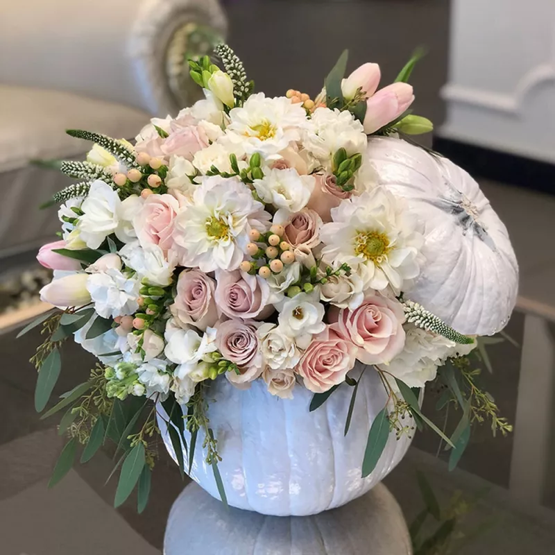 Jadore The Perfect Pumpkin