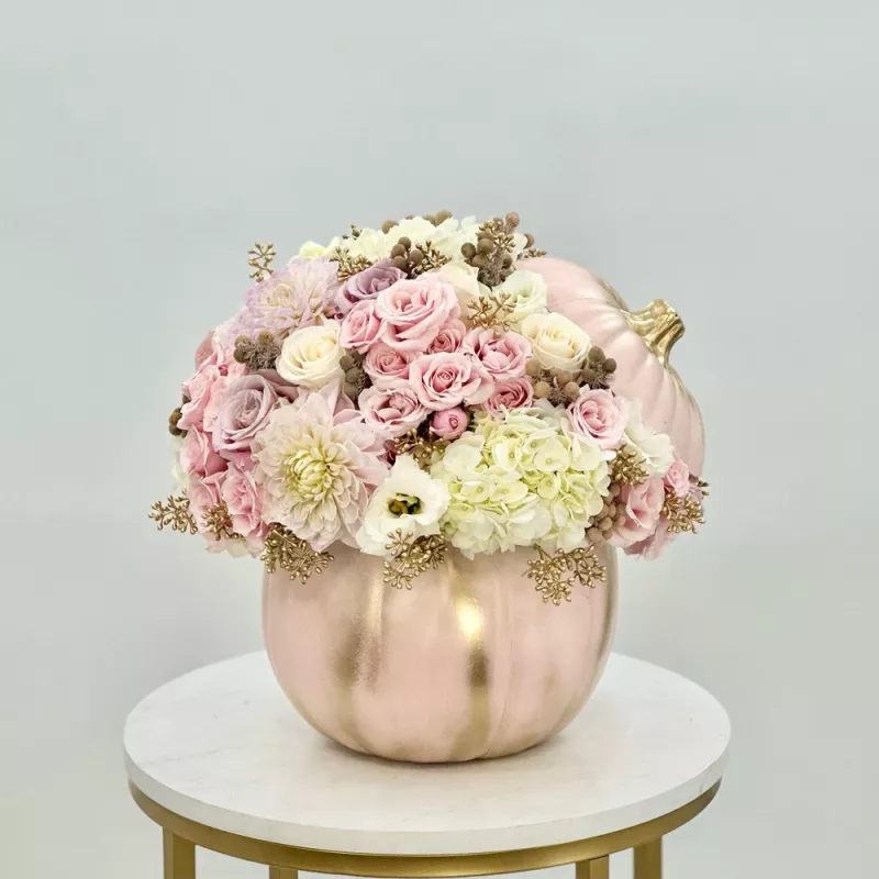 Jadore Pumpkin Princess