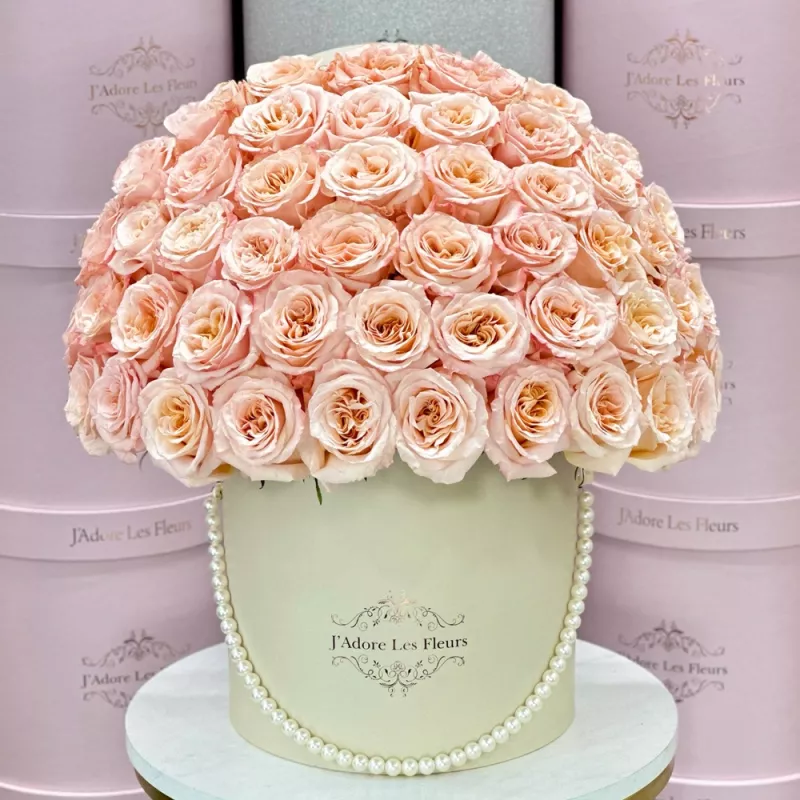 Jadore Peach Roses