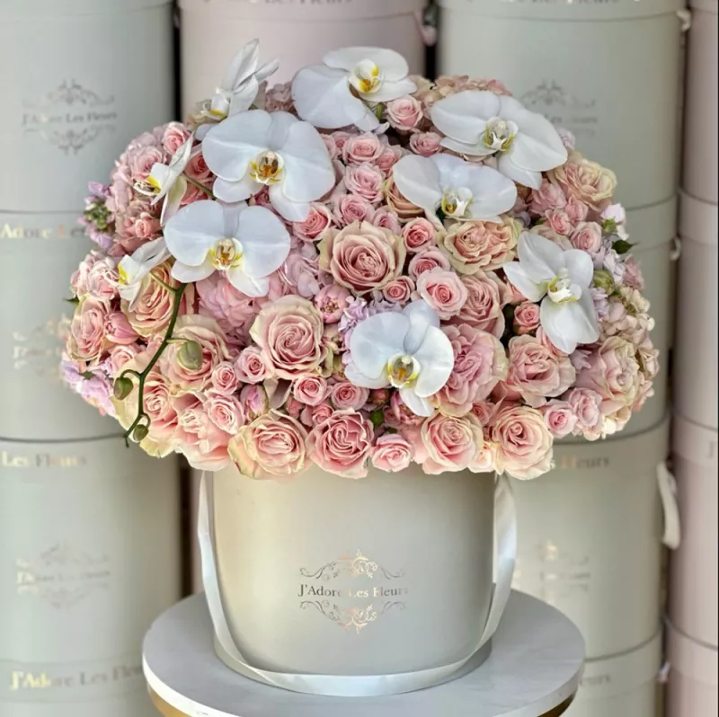 Jadore Pink Elegance Blossom