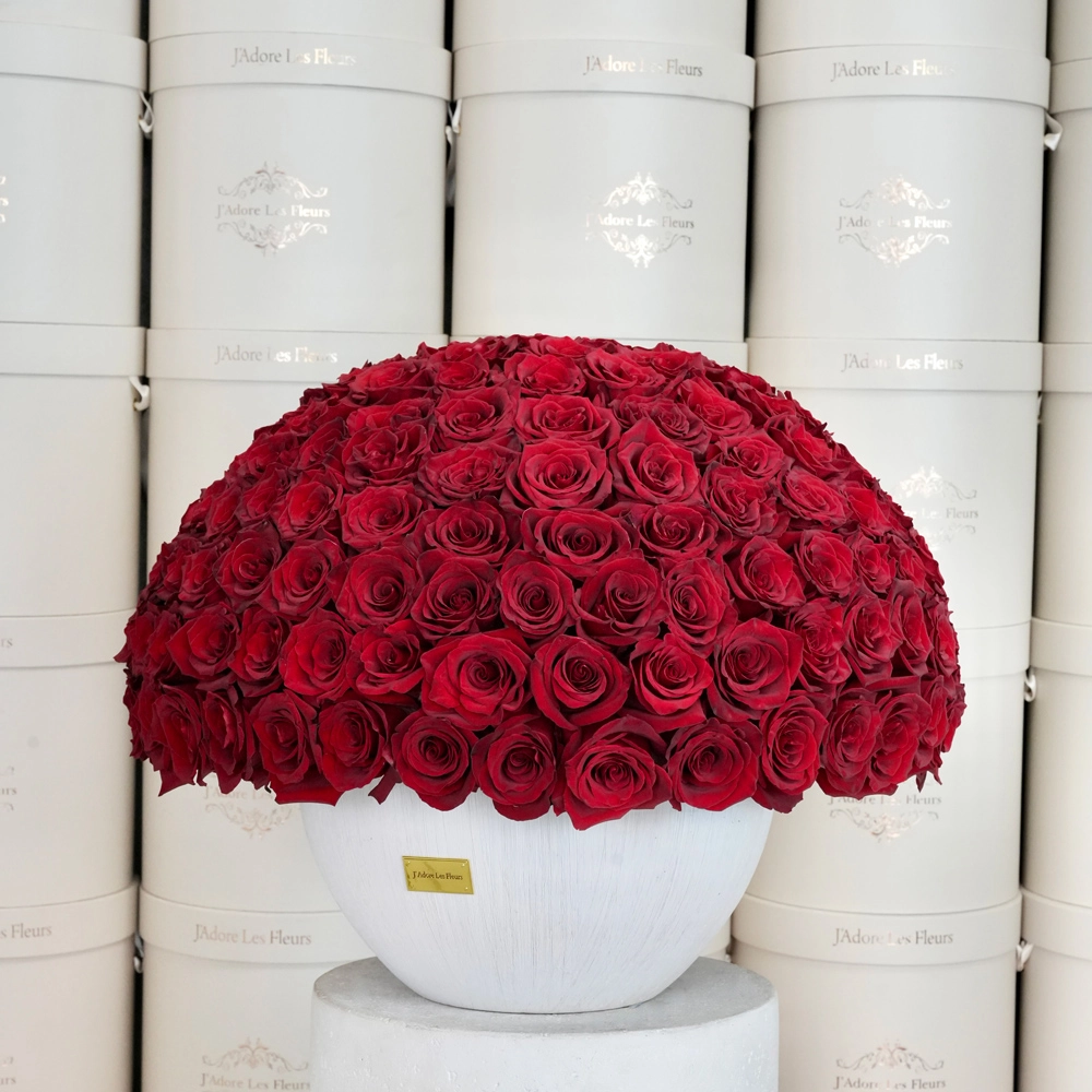 Classic 150 Red Rose Dome Arrangement