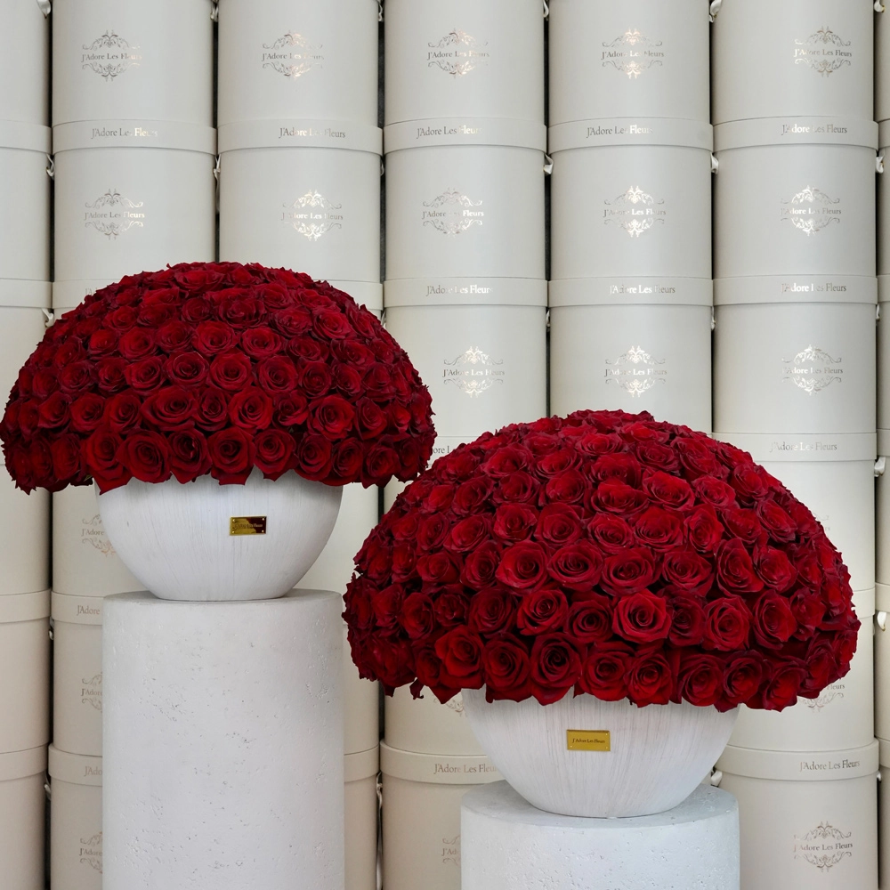 Classic 150 Red Rose Dome Arrangement