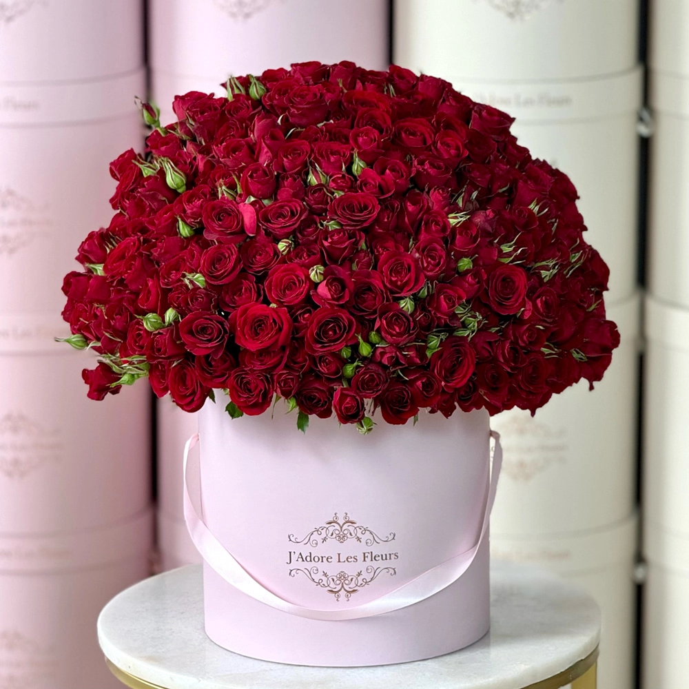Red Baby Rosé Box