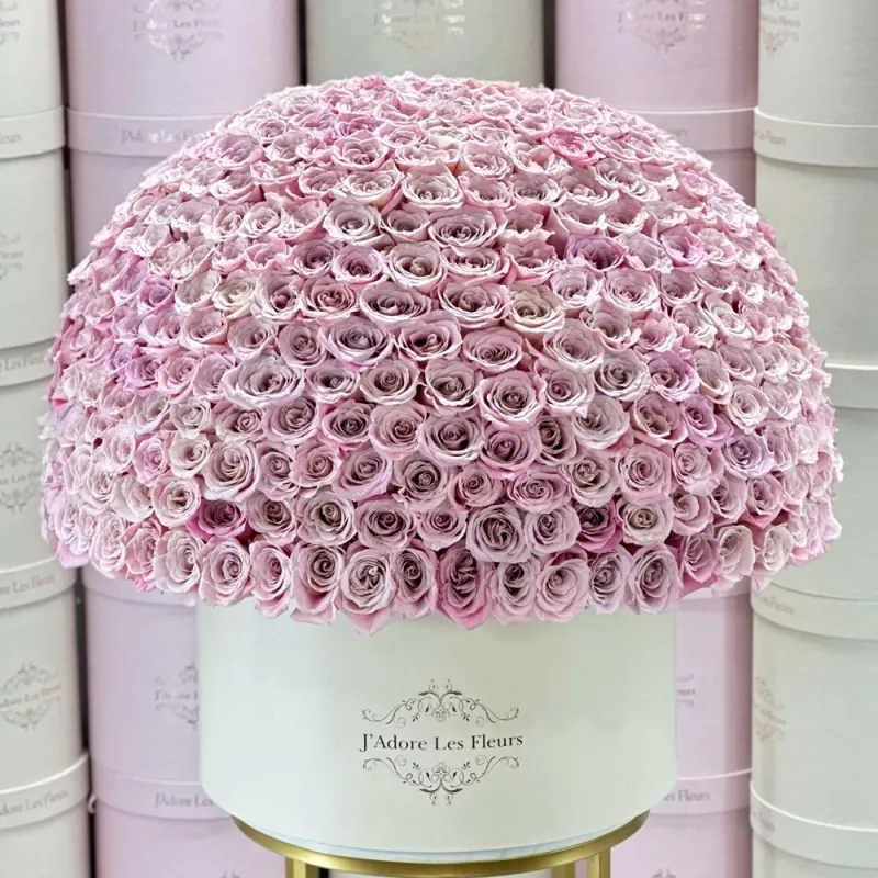 Jadore 300 Faith Roses in Grandiose