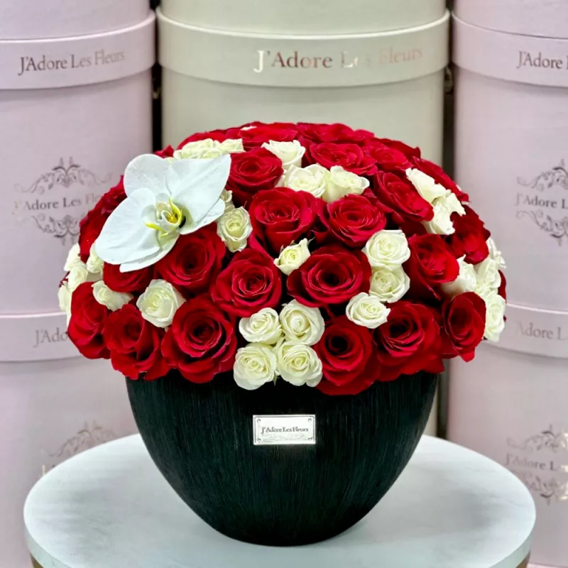 Jadore Petal Passion