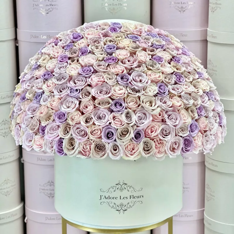 Jadore 300 Multicolor Pastel Roses in Grandiose