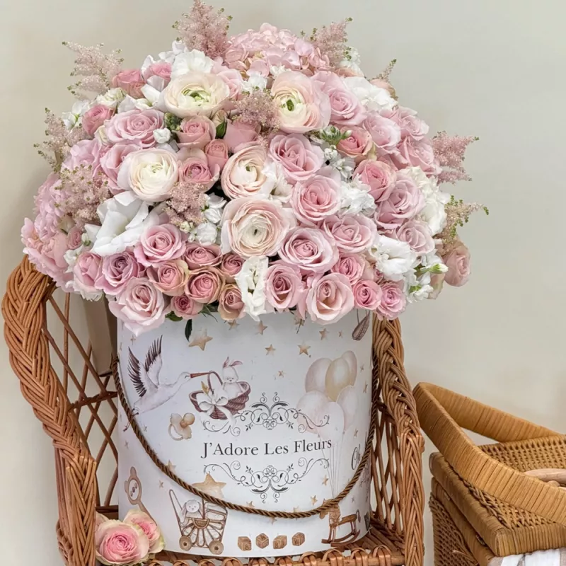 Jadore Pink Dreamland