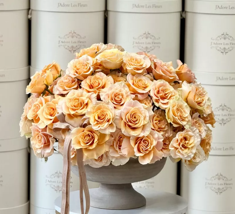 Jadore Isabella Peach Roses