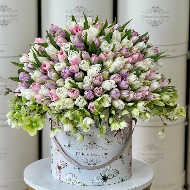 Jadore 100 Tulip Paradise