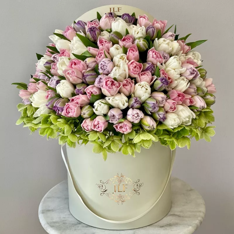 Jadore 100 Tulip Paradise