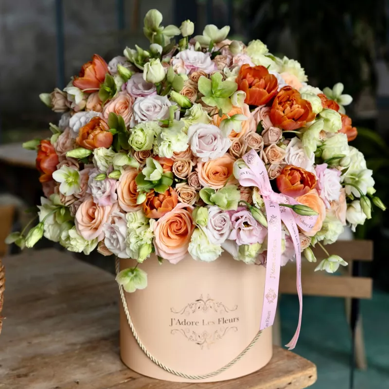 Jadore Citrus Grove Bliss