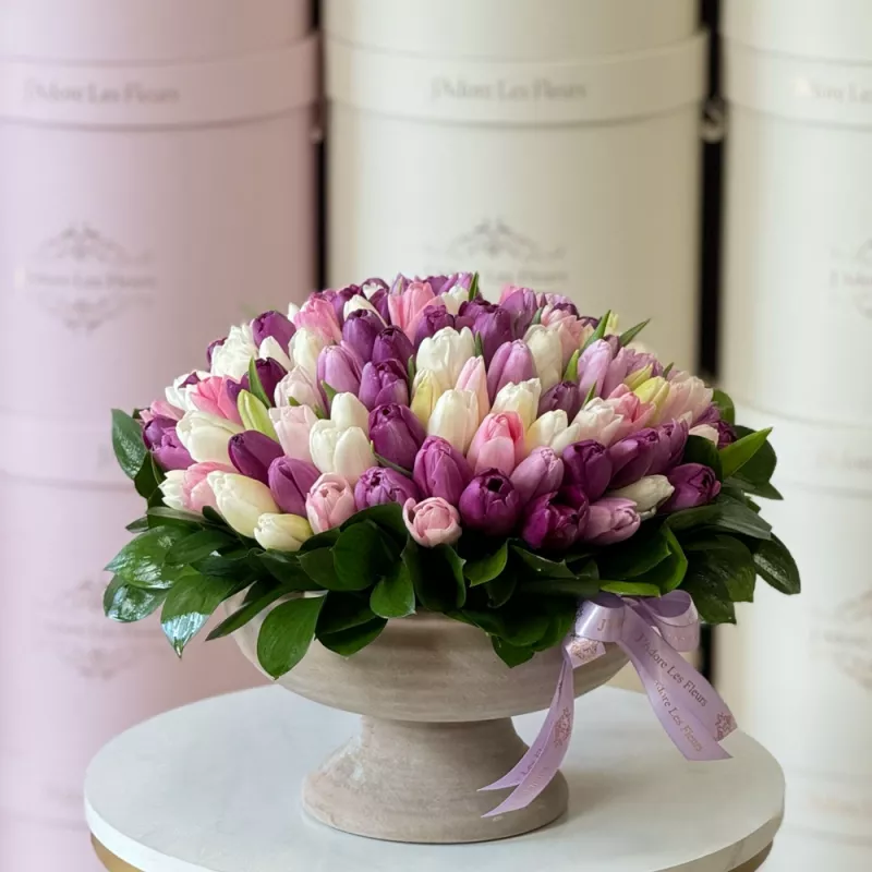 Jadore Tulip Enchantment