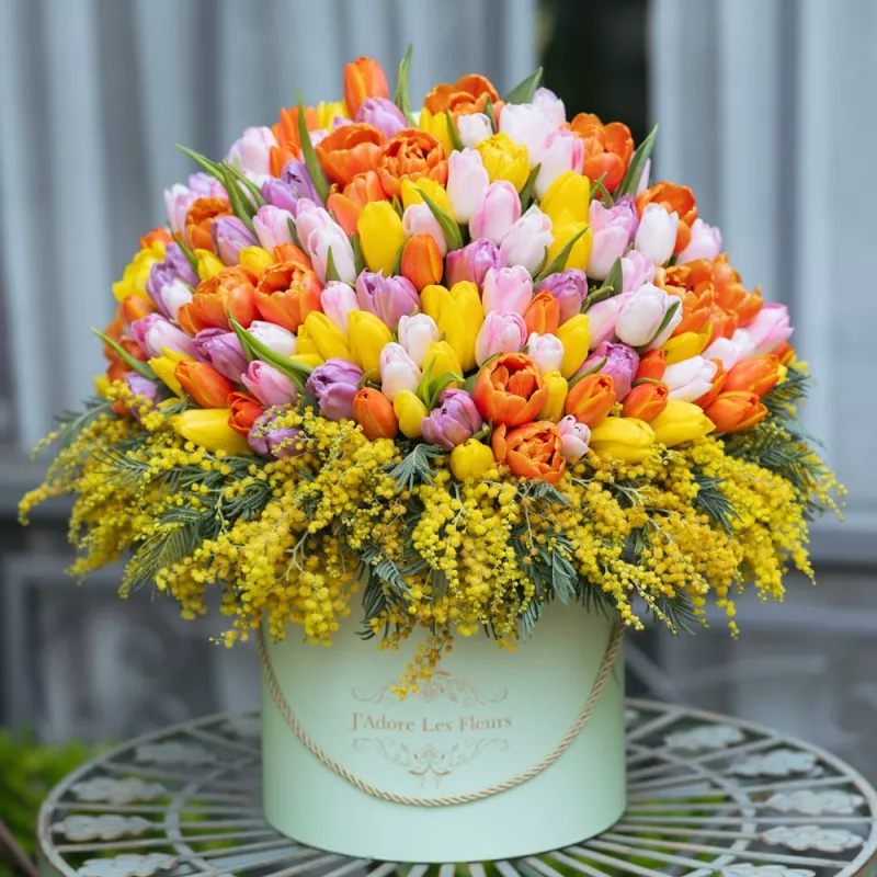 Jadore Mimosa and Tulip Dreamscape